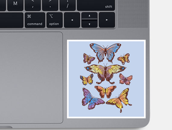 Butterflies