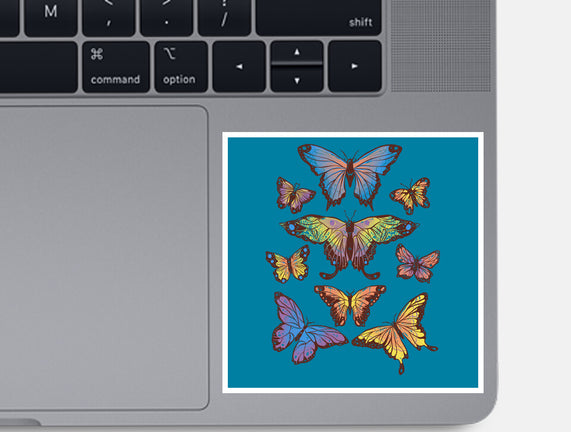Butterflies
