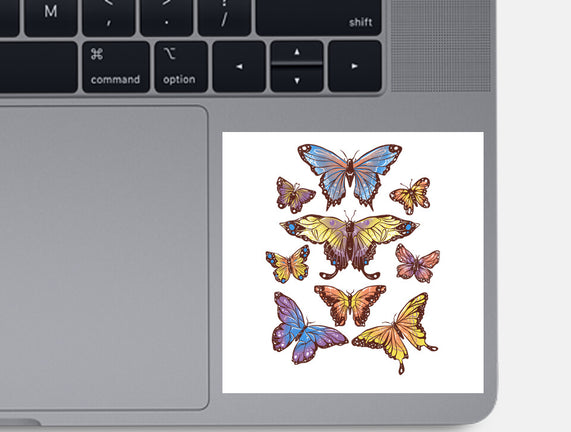 Butterflies