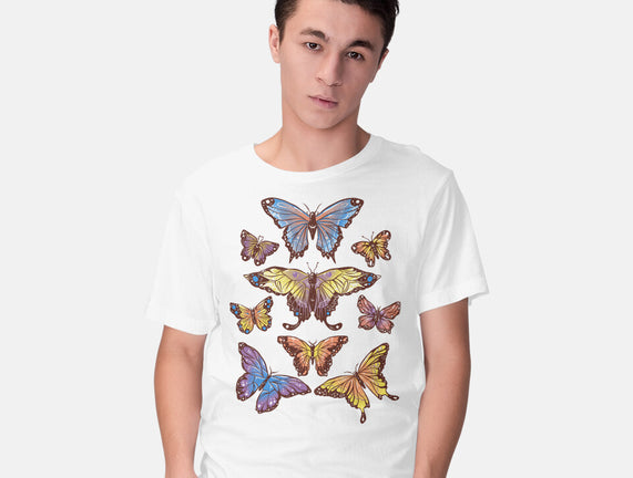 Butterflies