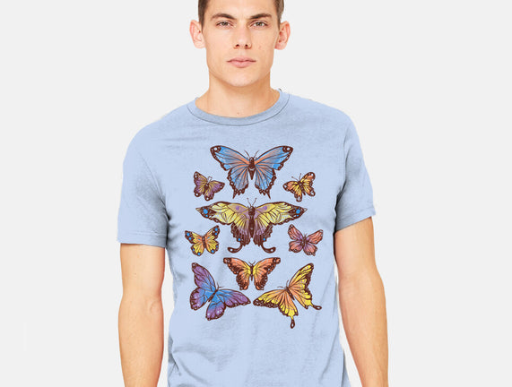 Butterflies