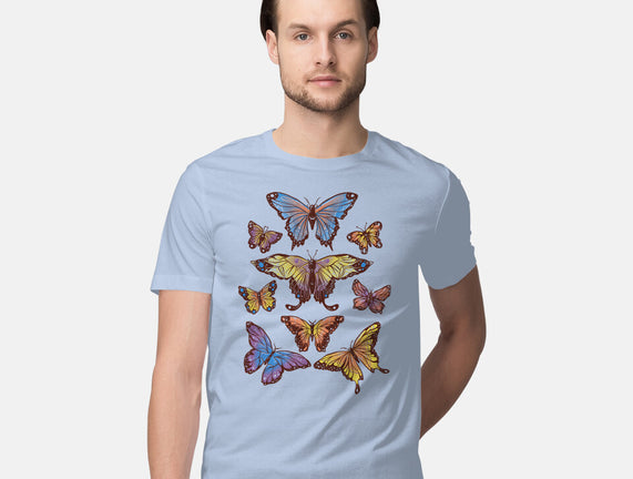 Butterflies