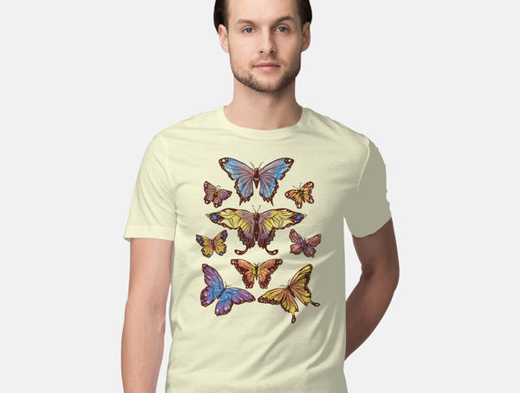 Butterflies