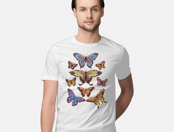 Butterflies