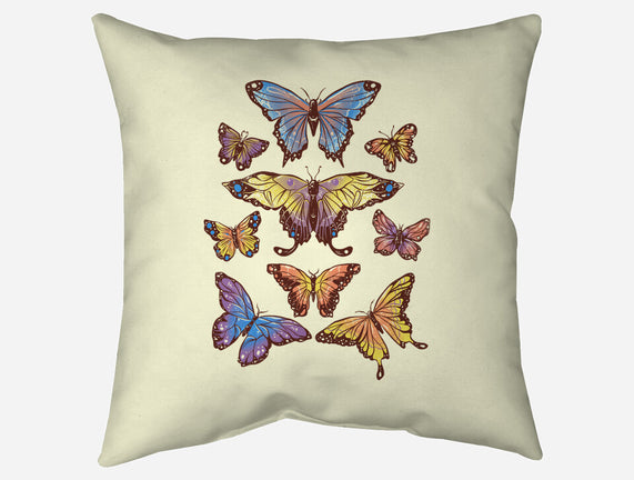 Butterflies