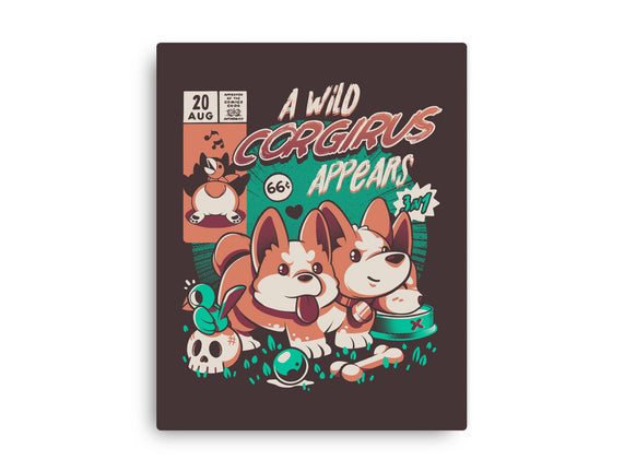 Corgirus
