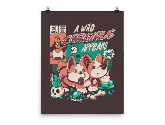 Corgirus