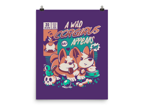 Corgirus