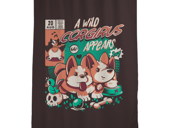 Corgirus