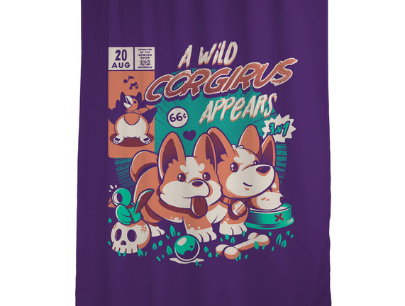 Corgirus