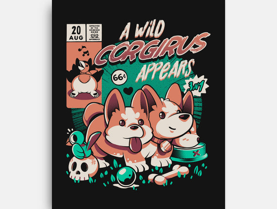 Corgirus