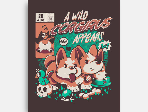 Corgirus