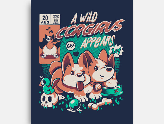 Corgirus