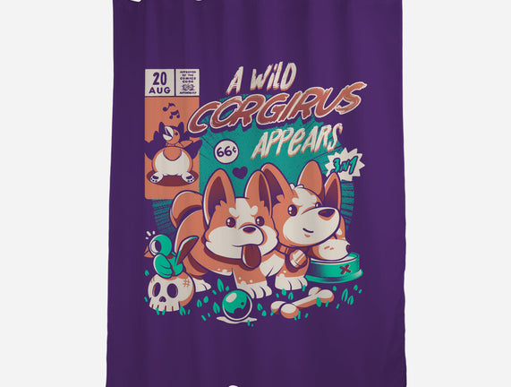Corgirus