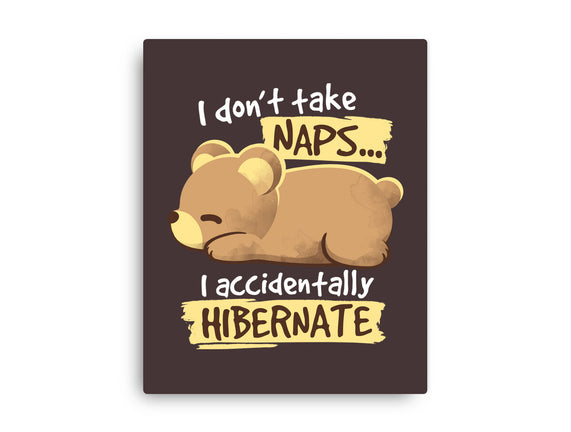 Bear Takes Naps