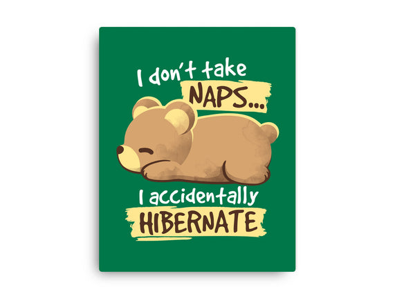 Bear Takes Naps