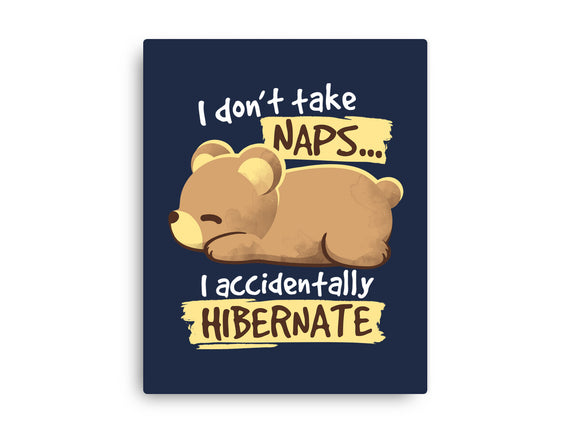 Bear Takes Naps
