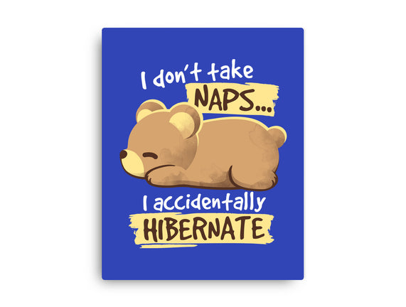 Bear Takes Naps