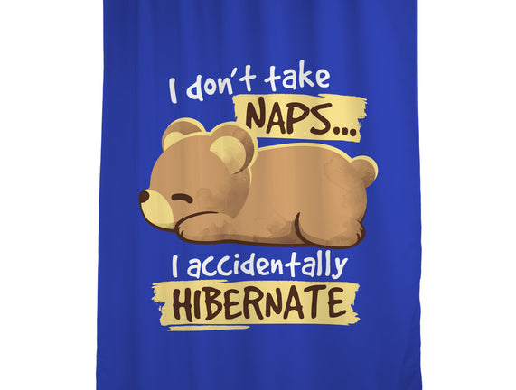 Bear Takes Naps