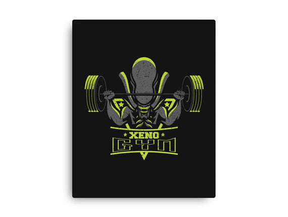 Xeno Gym