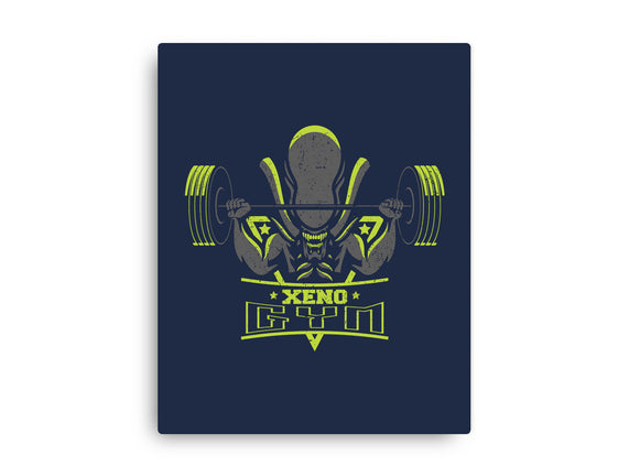 Xeno Gym