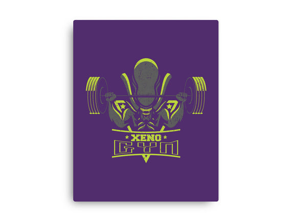 Xeno Gym