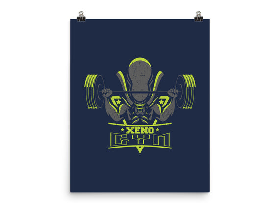 Xeno Gym