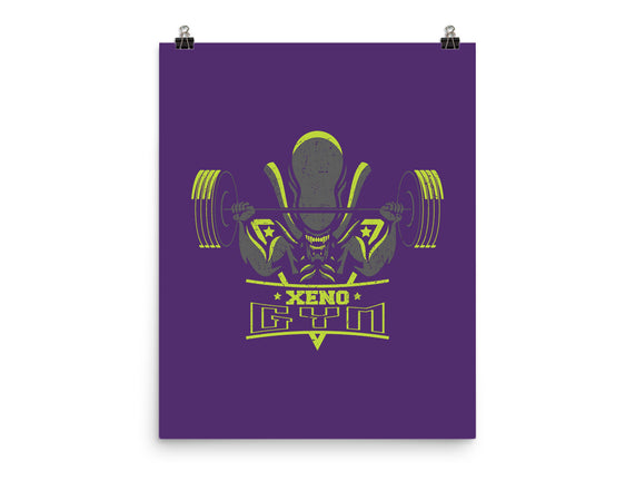 Xeno Gym