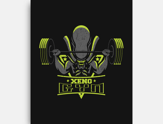 Xeno Gym