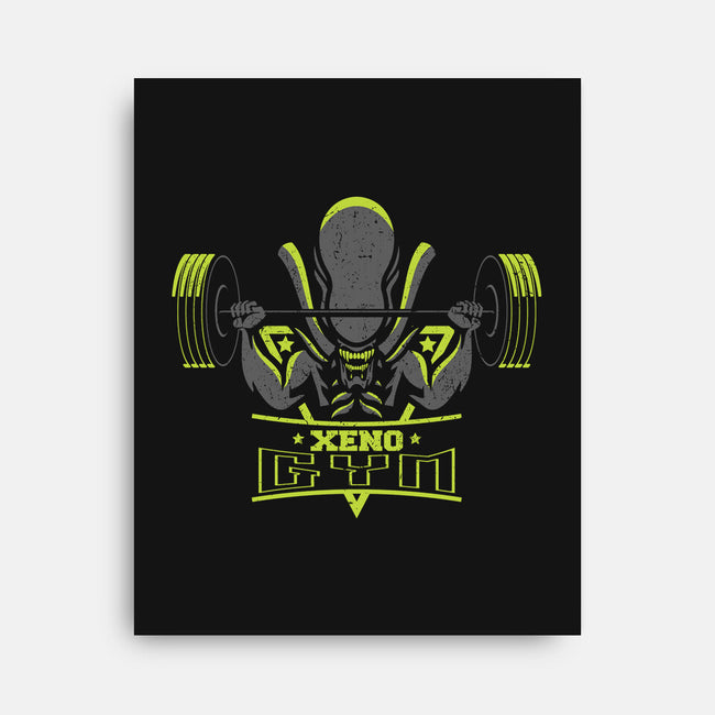 Xeno Gym-none stretched canvas-jrberger
