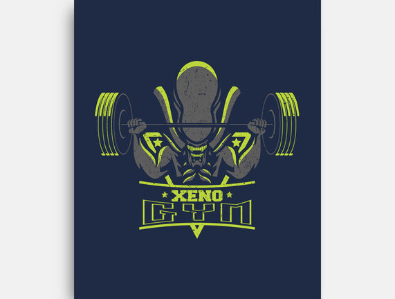 Xeno Gym