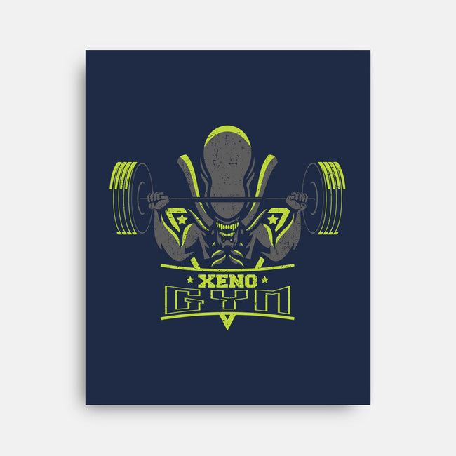 Xeno Gym-none stretched canvas-jrberger