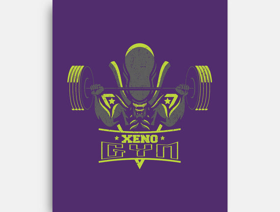 Xeno Gym
