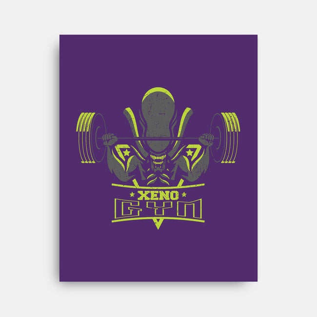 Xeno Gym-none stretched canvas-jrberger