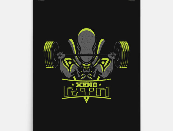 Xeno Gym