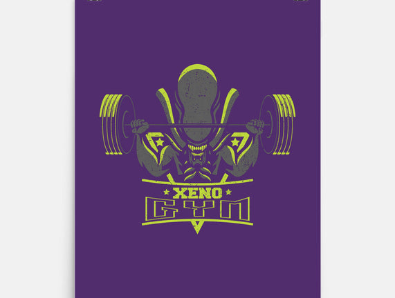 Xeno Gym