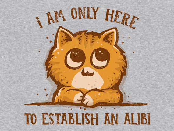 Only Here For The Alibi