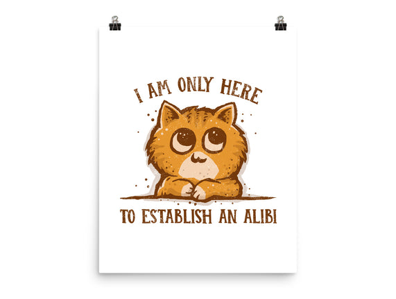 Only Here For The Alibi