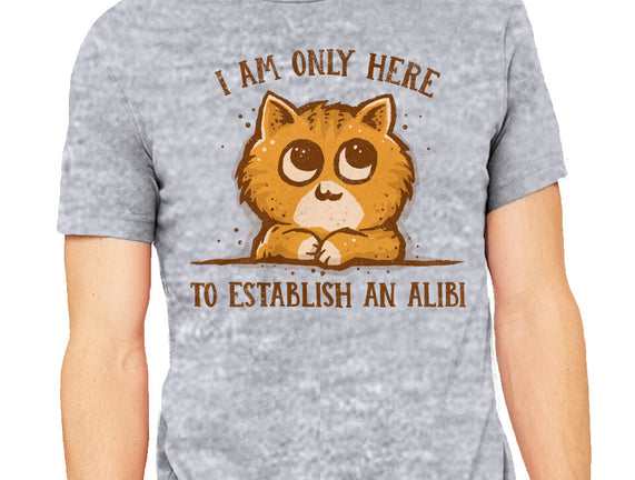 Only Here For The Alibi