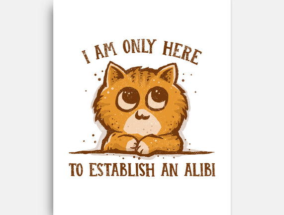 Only Here For The Alibi