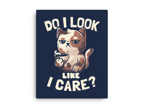 Do I Look Like I Care
