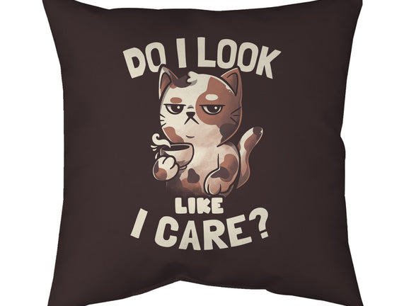 Do I Look Like I Care