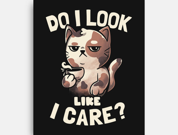 Do I Look Like I Care