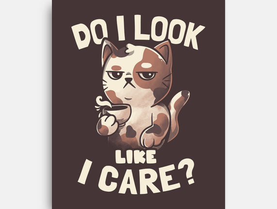 Do I Look Like I Care