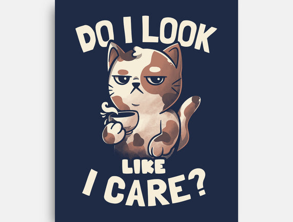 Do I Look Like I Care
