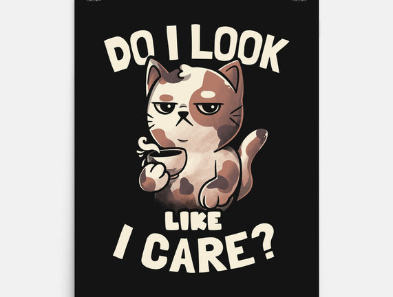 Do I Look Like I Care