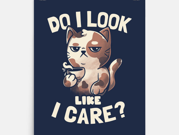Do I Look Like I Care