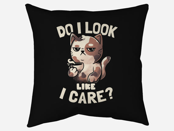 Do I Look Like I Care