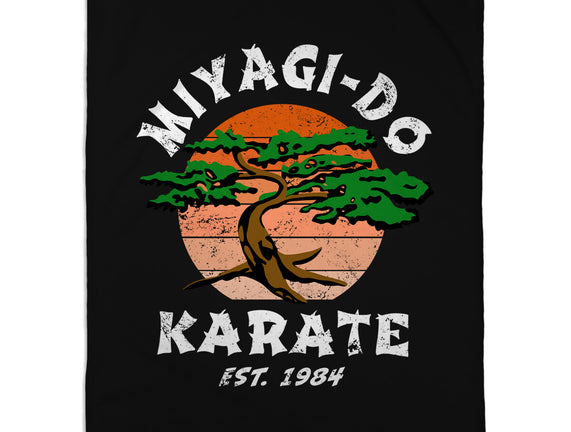 Miyagi Karate
