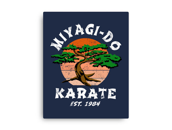 Miyagi Karate